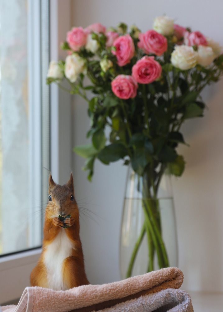 Вкусные розы