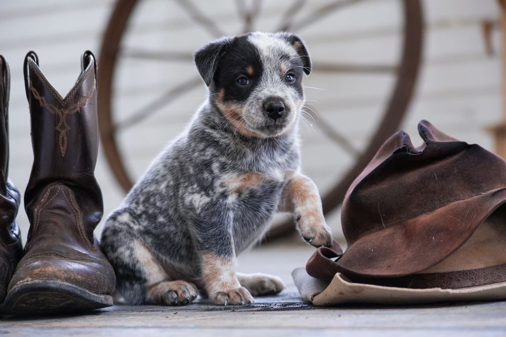 Photograph by Кристина Данилюк