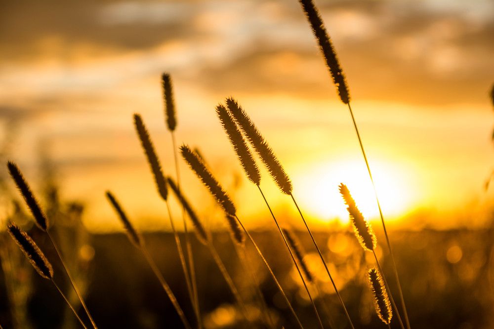 Photograph by Людмила Прибылова