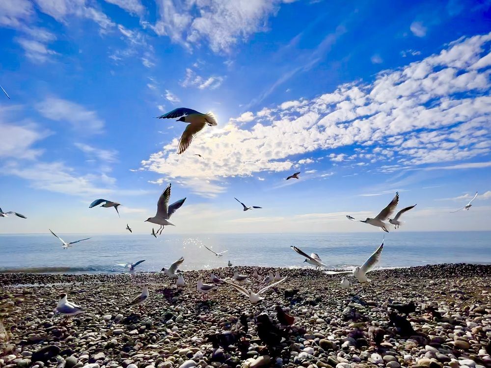 Photograph by Дарья Вишневская