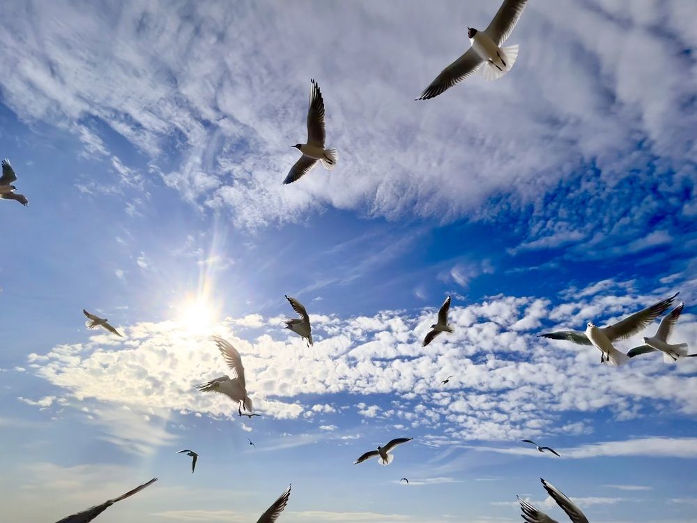 Photograph by Дарья Вишневская