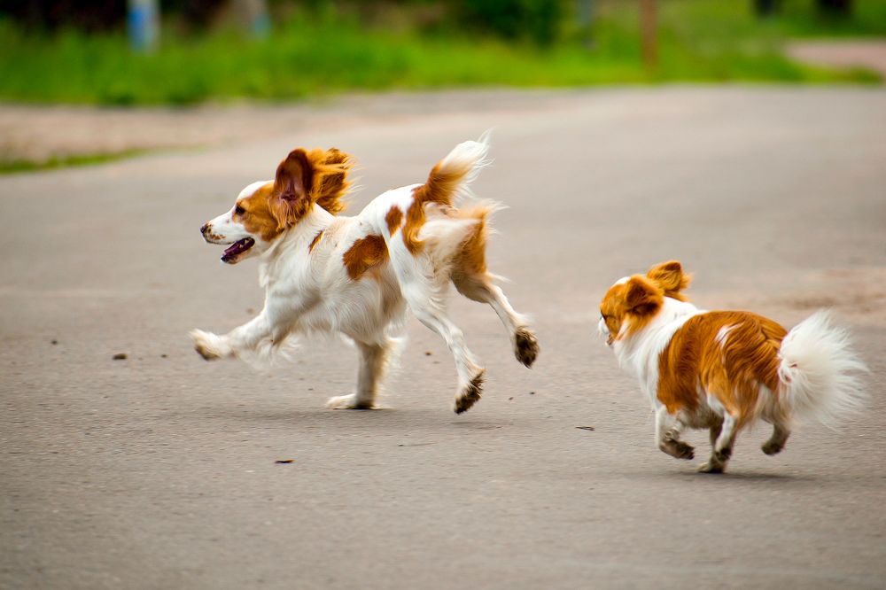 Photograph by Margarita