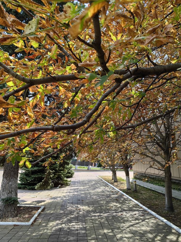 Фотография автора Юлия Лубкина