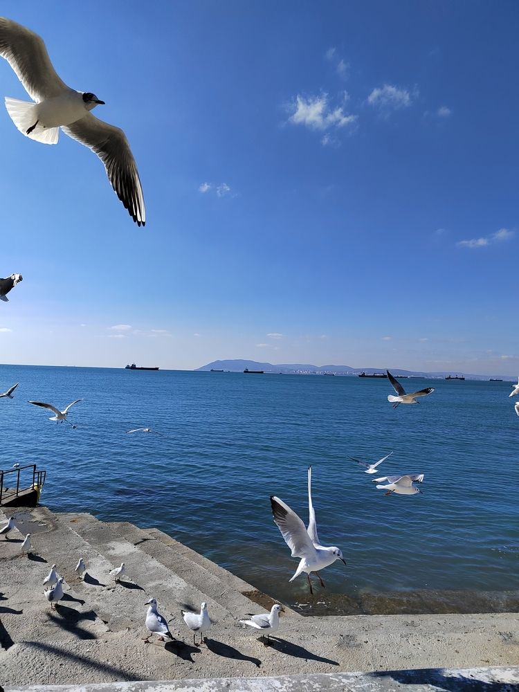 Фотография автора Юлия Лубкина