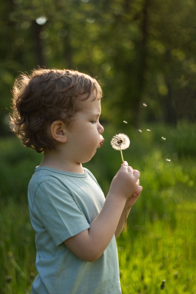 Photograph by Анна Игошева