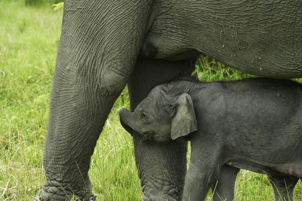 Photograph by Preet saluja