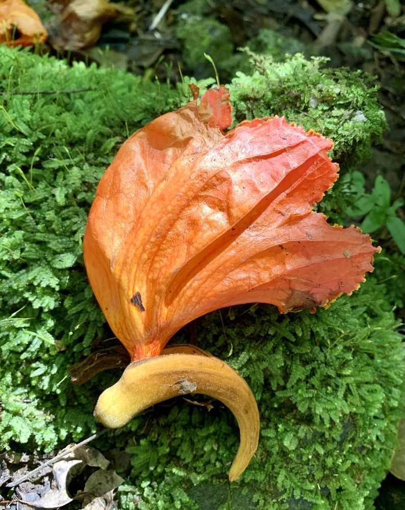 Photograph by Ольга Старкова