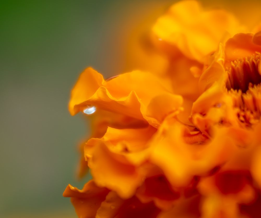 Photograph by 