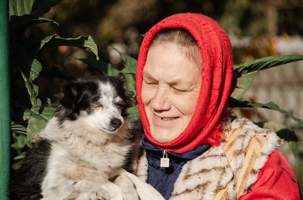 Фотография автора Елена Ефименко