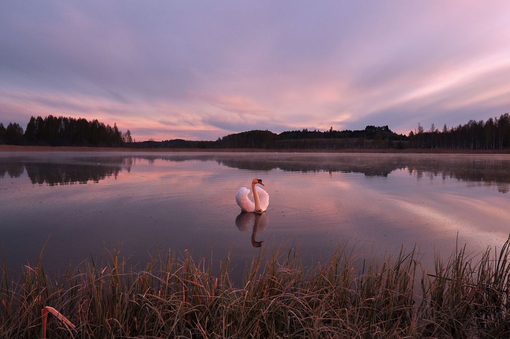 Photograph by Юрий Яковлев