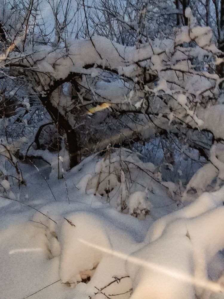 Photograph by Ирина