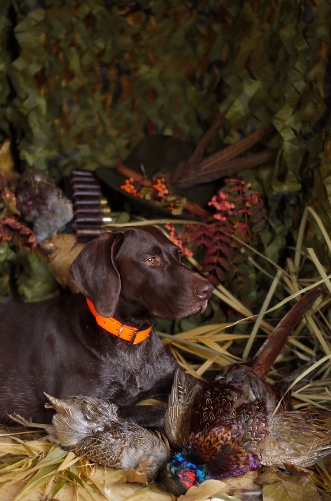 Фотография автора Елена Ефименко