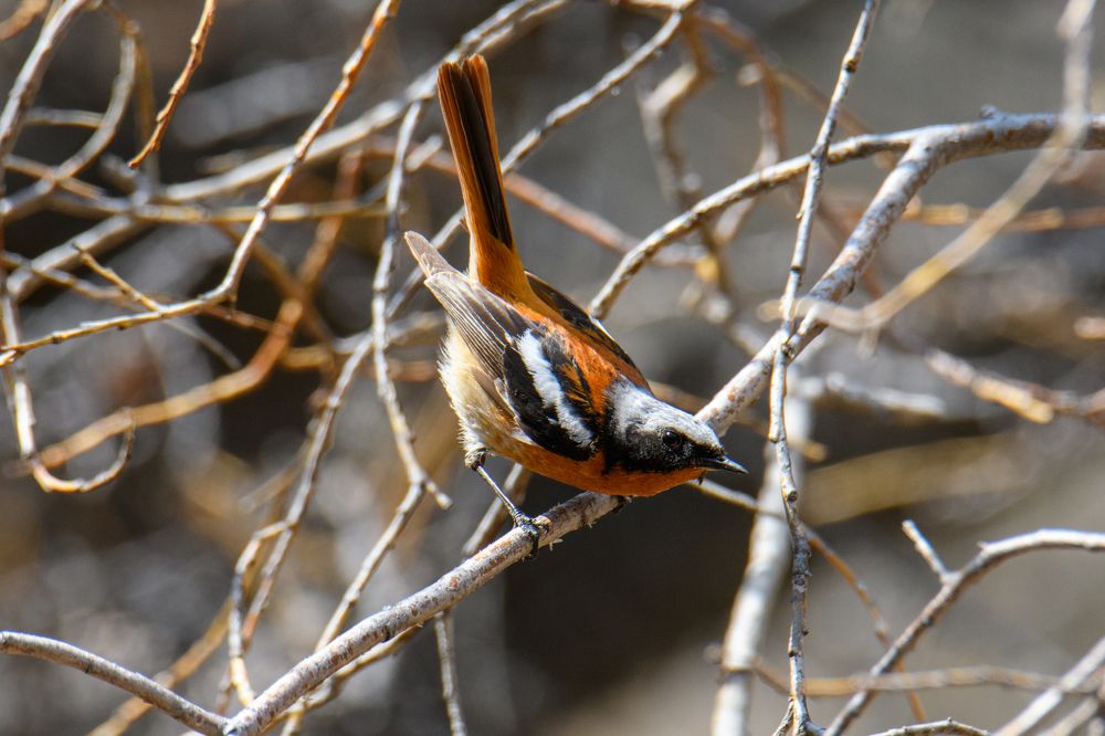 Photograph by Алексей Сальников