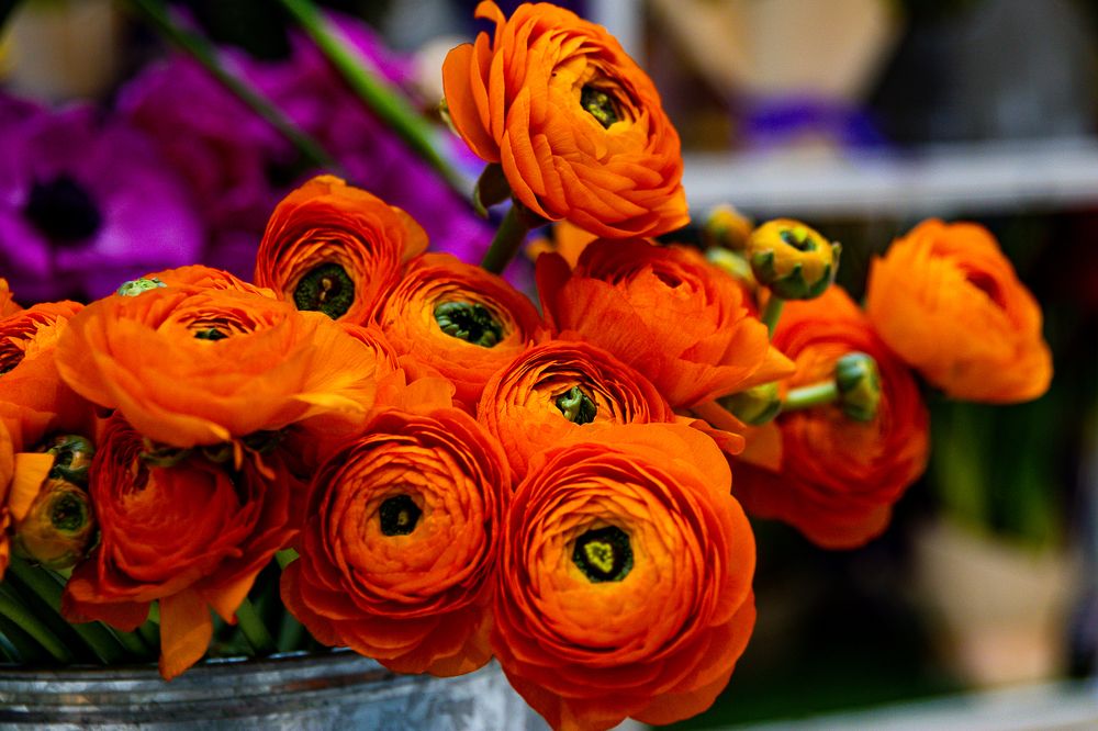 Photograph by Ирина Саломатина