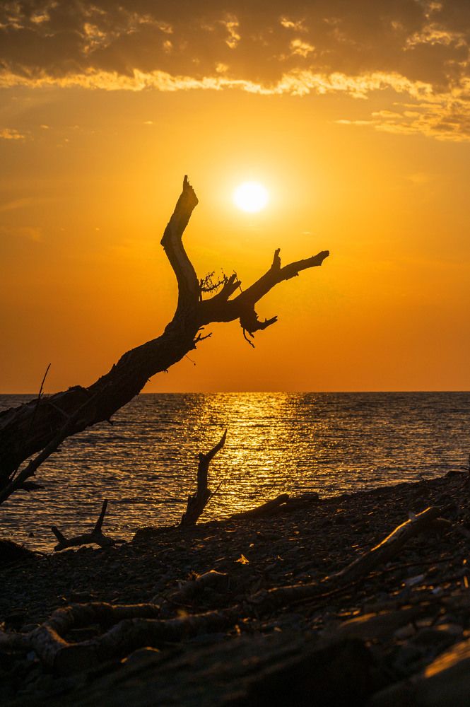 Photograph by Аверина Елена