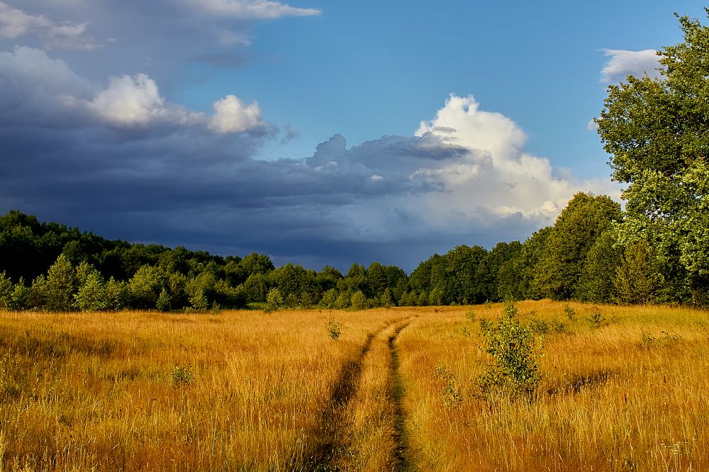 Photograph by Голованов Николай