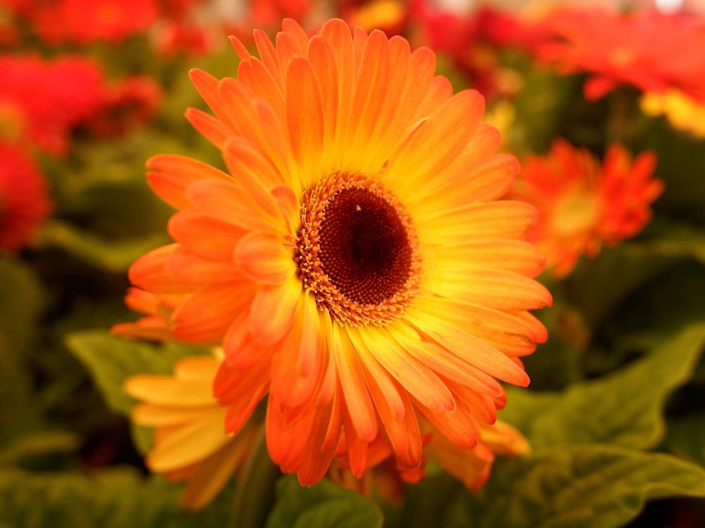 Photograph by Зорин Миша