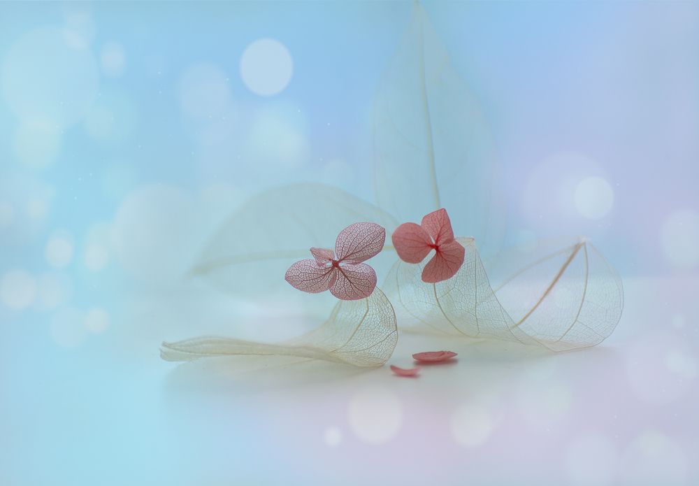 Photograph by Дроздова Наталья