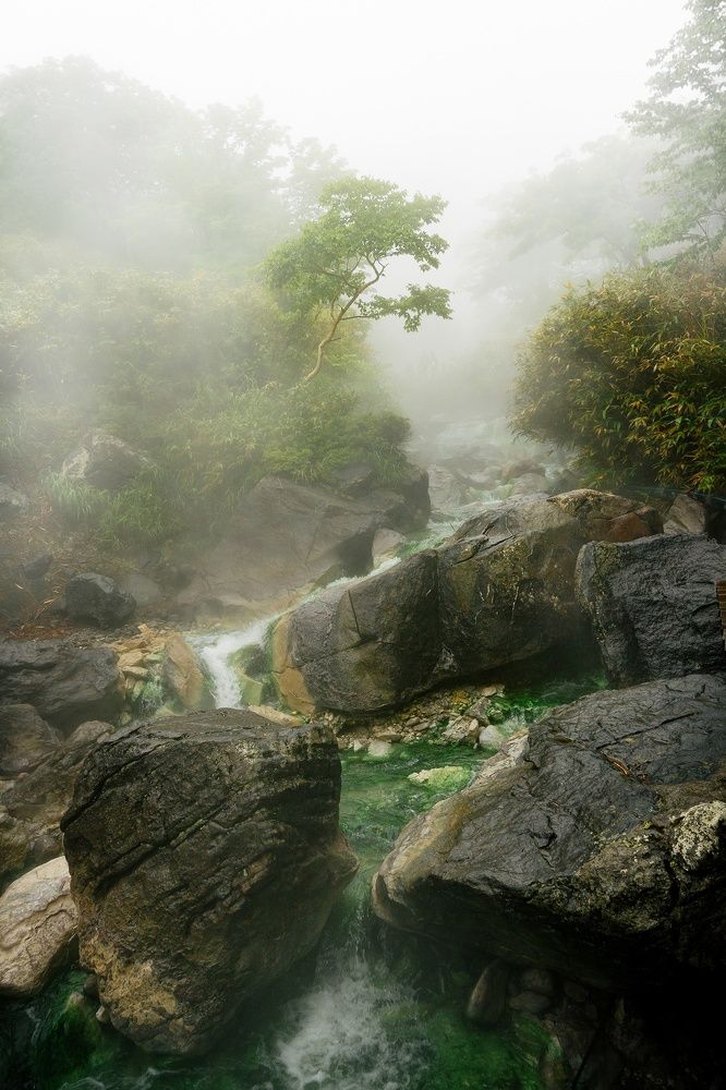 Photograph by Татьяна Сафрошкина