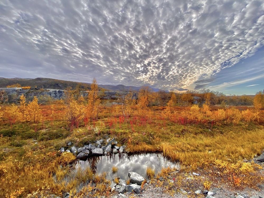 Photograph by Janina Segeda