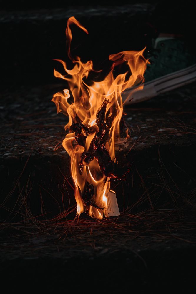 Фотография автора Fallen Angel