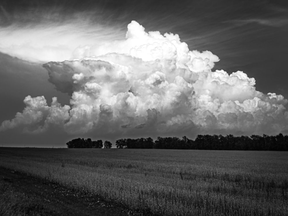 Photograph by Наталья Веряскина