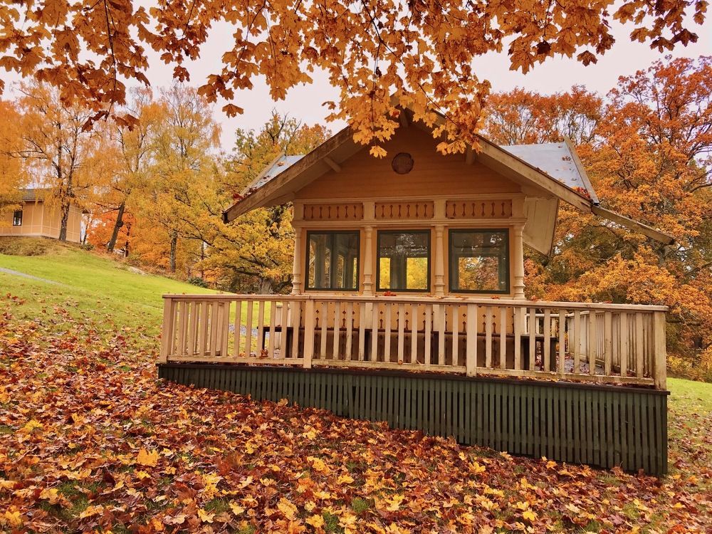 Photograph by Janina Segeda