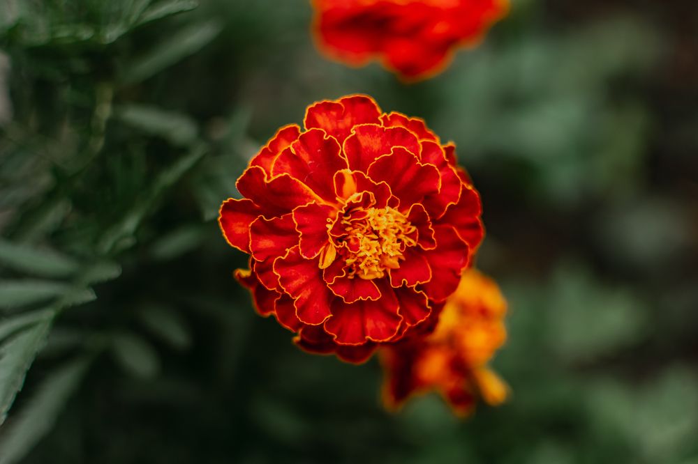 Photograph by Екатерина Абатурова