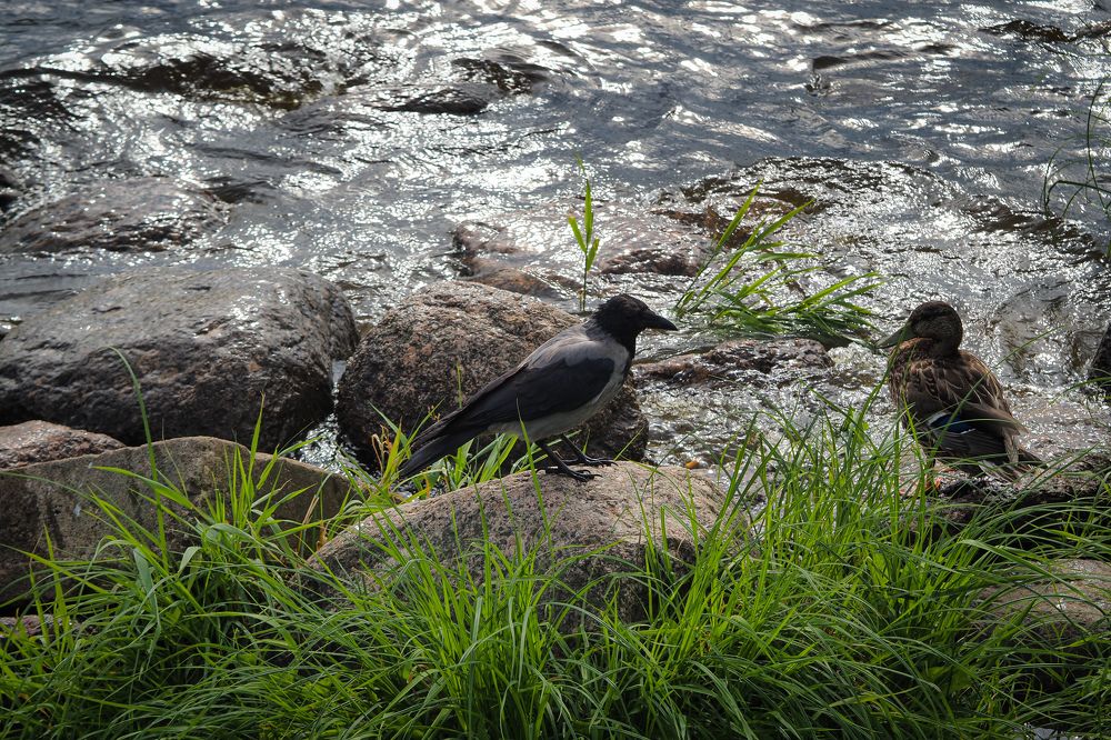 Photograph by Nataly Trofimova