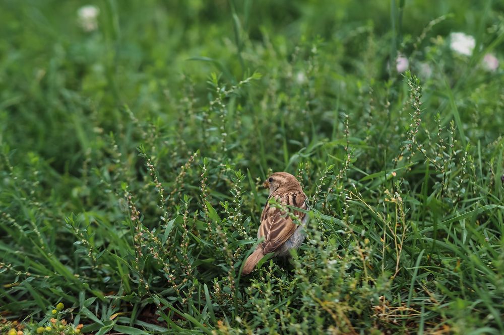 Photograph by Nataly Trofimova