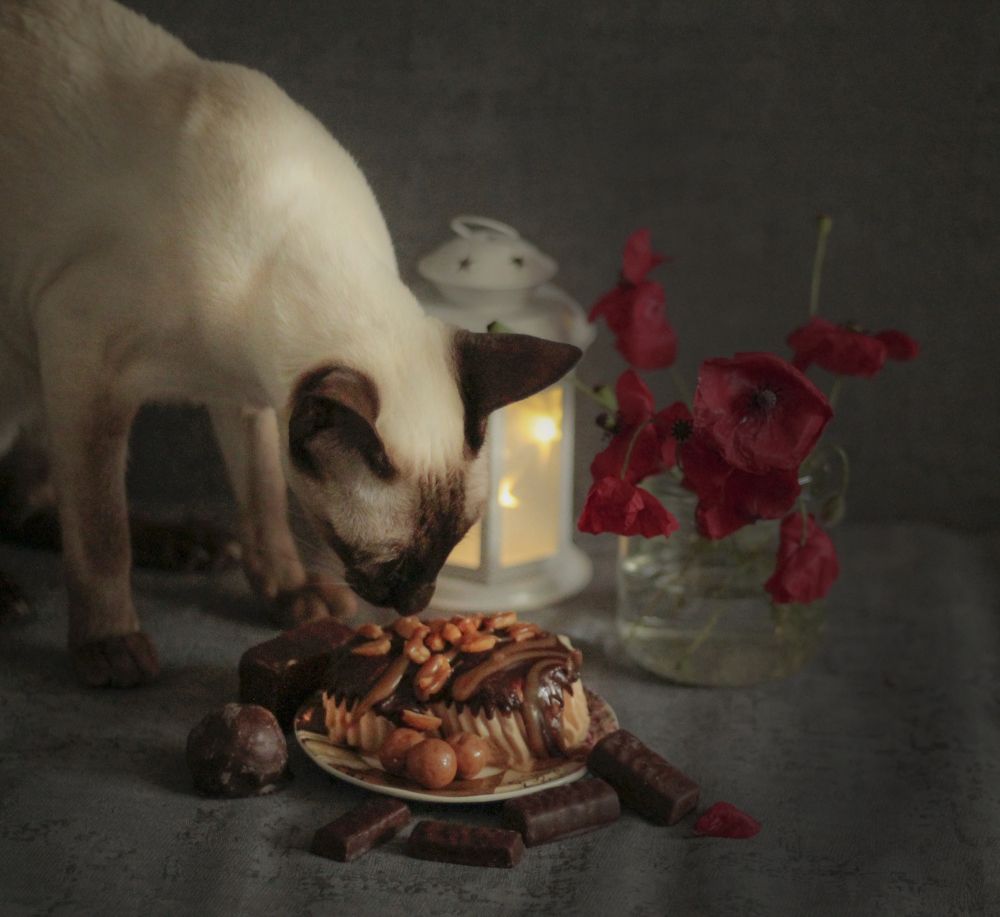 Photograph by Татьяна Гатиятуллина