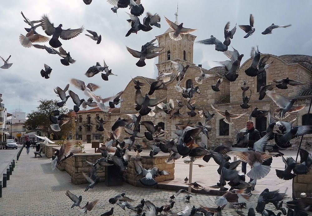 Photograph by Людмила Викулова