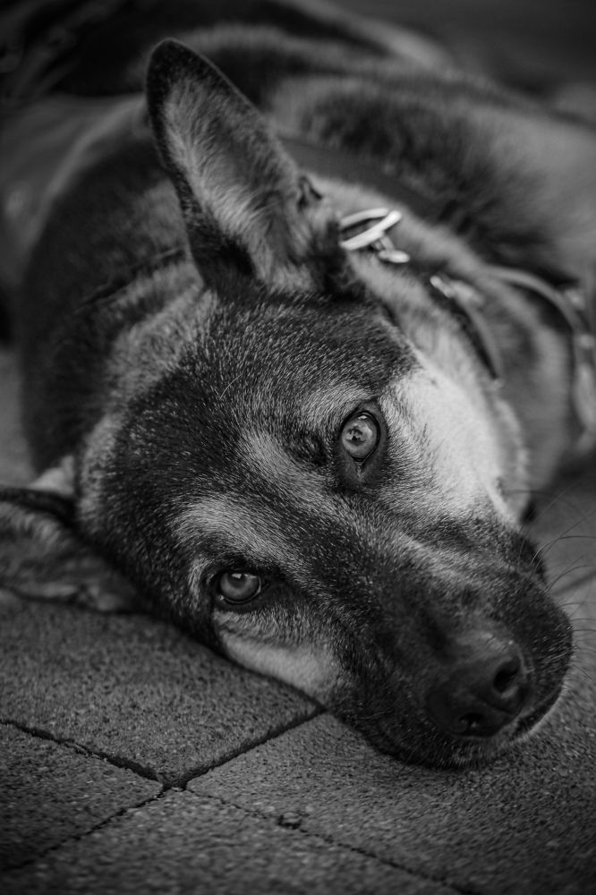 Photograph by Nataly Trofimova