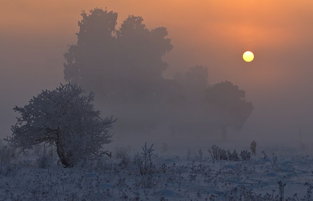 Photograph by Анатолий Васильев