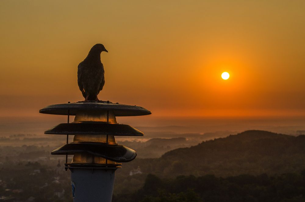 Photograph by Евгений Каримов