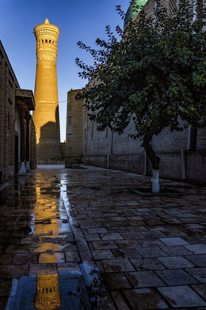 Photograph by Владимир Остапенко