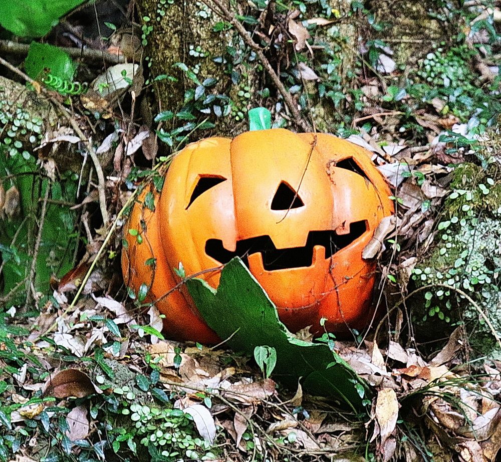 Фотография автора АЛЕКСАНДР ЦЫГЕЛЬНЮК