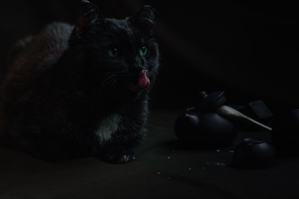 Photograph by Елена Леонидовна