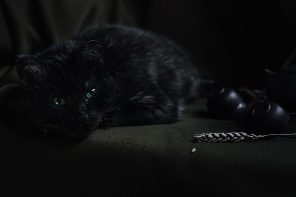 Photograph by Елена Леонидовна