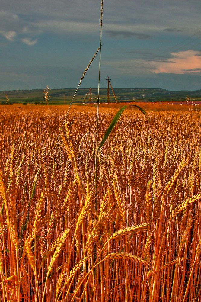 Photograph by Александр Кудрявцев
