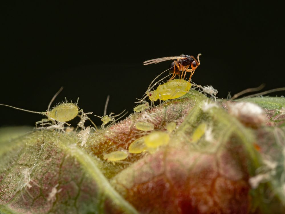 Photograph by Olga Link