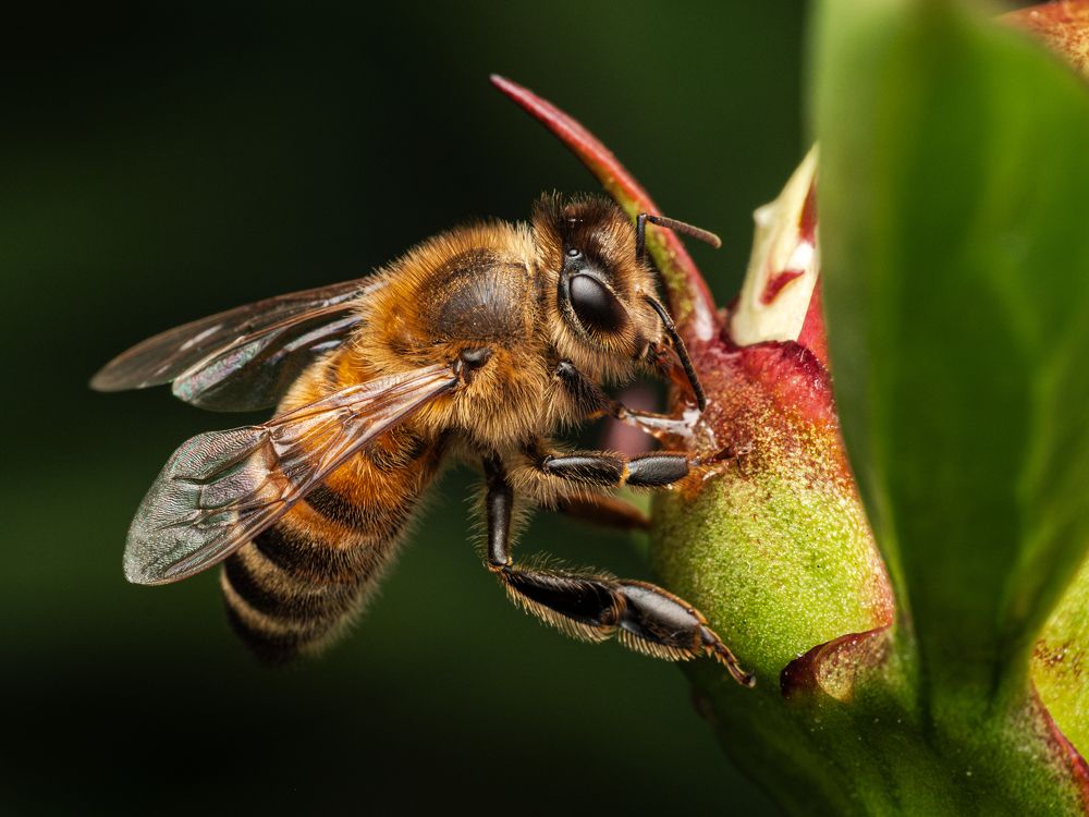 Photograph by Olga Link