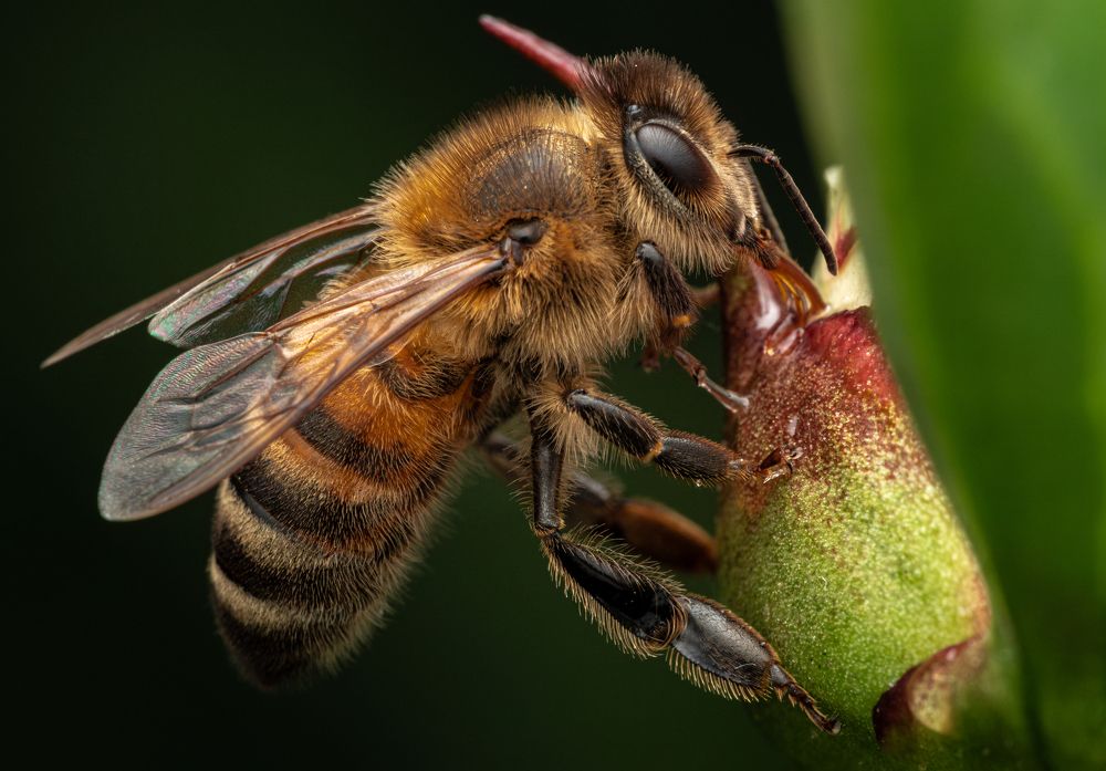 Photograph by Olga Link