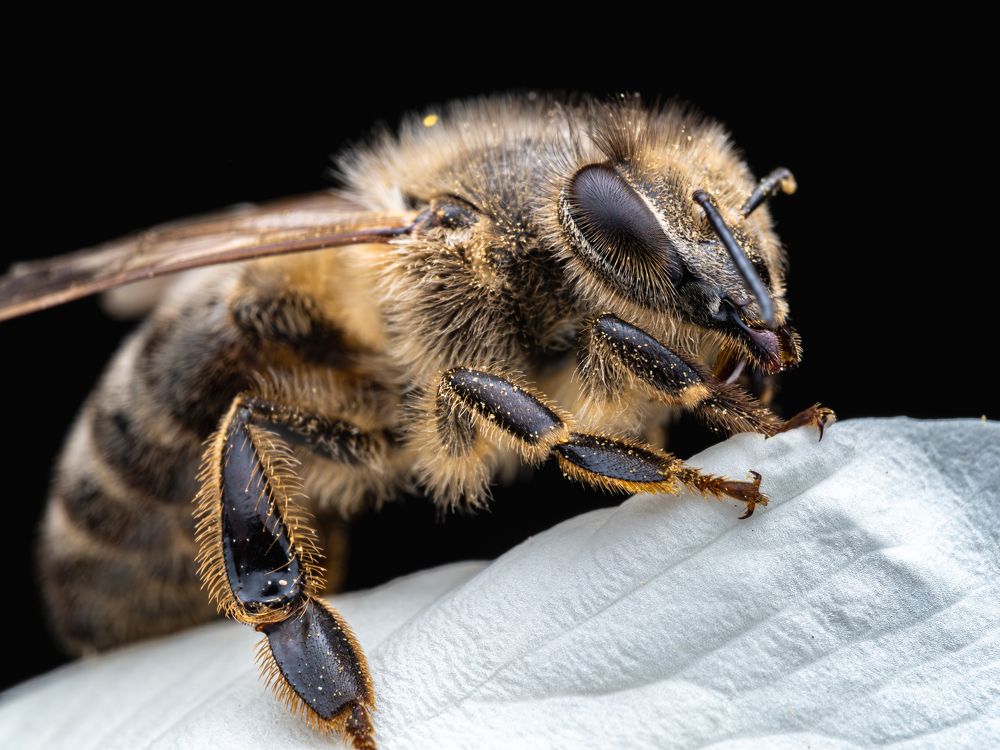 Photograph by Olga Link