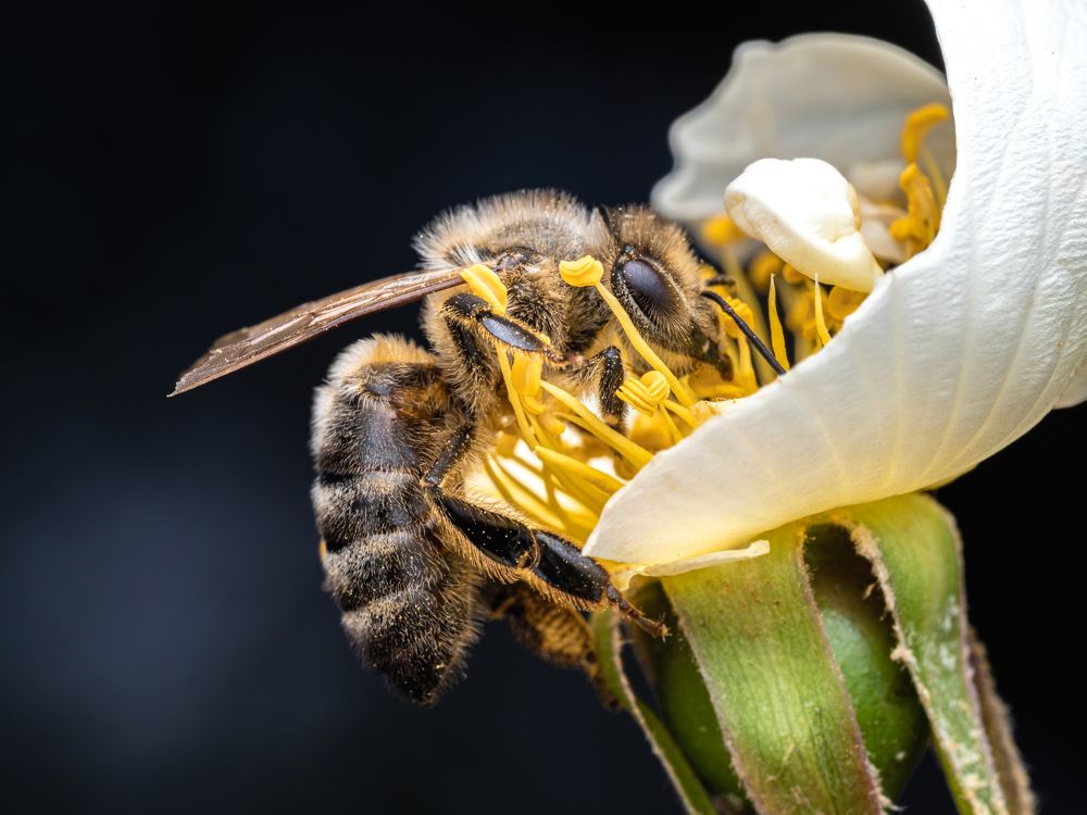 Photograph by Olga Link