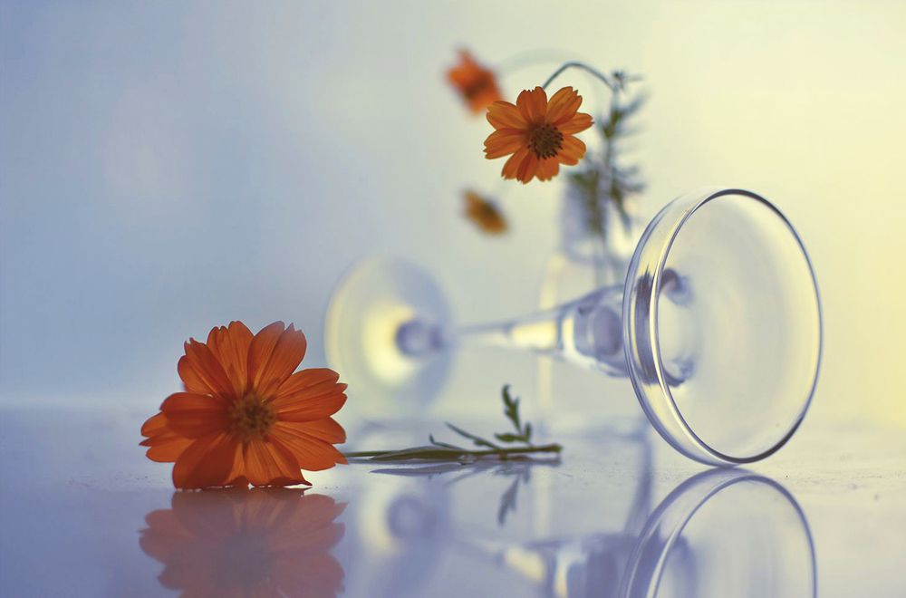 Фотография автора Ирина Шипунова