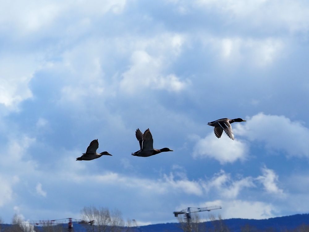 Photograph by Вова Боровский