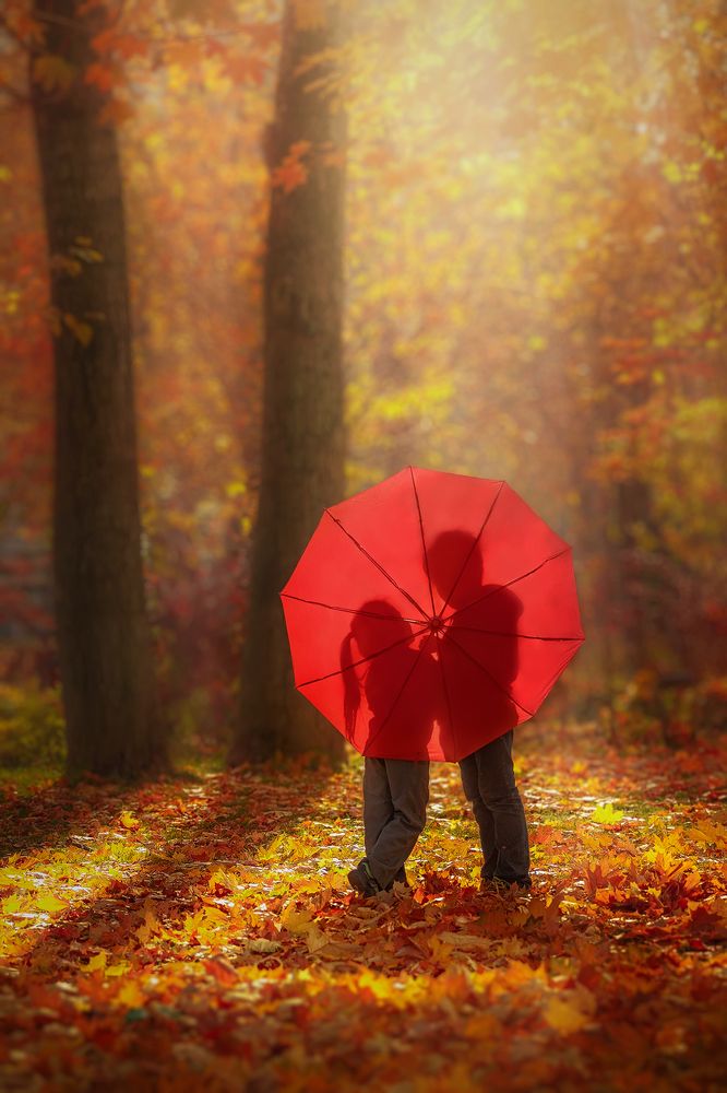 Photograph by PYATNITSKIY ANDREY