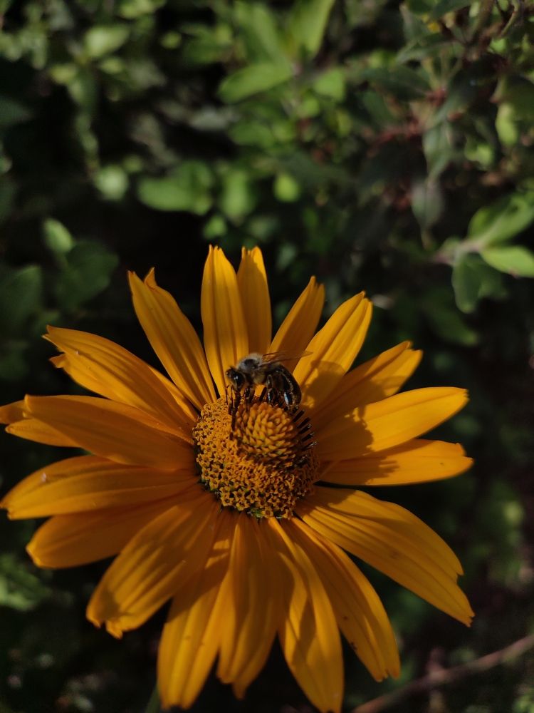 Photograph by Анастасия Кудина