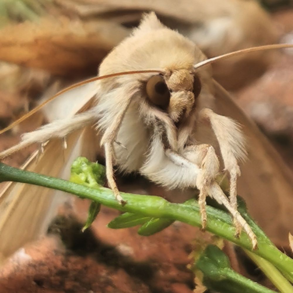 Photograph by Nikolett Mengyi